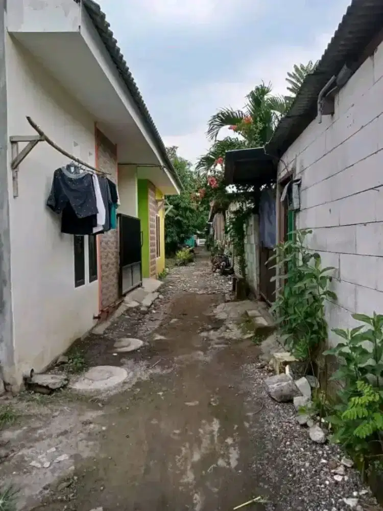 JUAL RUMAH SEPERTI KOS KOS AN