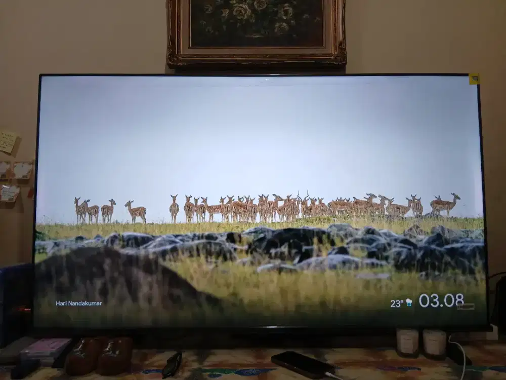 TOSHIBA GOOGLE TV 55