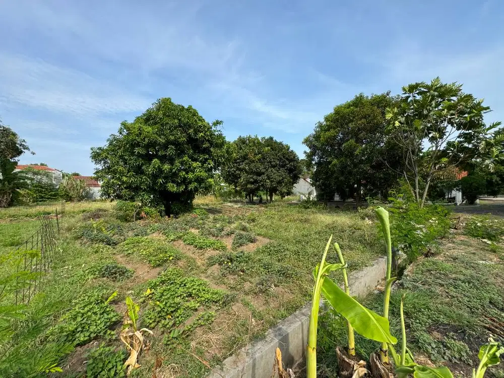 TANAH HOOK SHM LT 345 M2 DALAM KOMPLEK PERTAMINA KLAYAN CIREBON