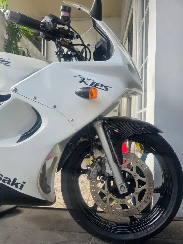 Ninja RR old 2011 Albino (Rare)