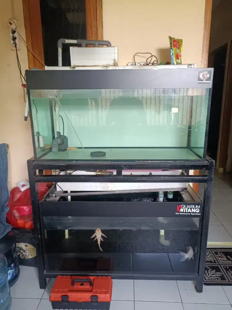 Aquarium 100×50×50 Tebal 8ml