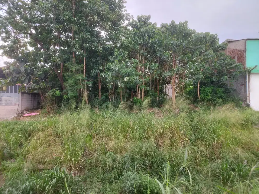 Tanah Untuk Rumah atau Usaha Bengkel Dapur MBG Cinambo Kota Bandung