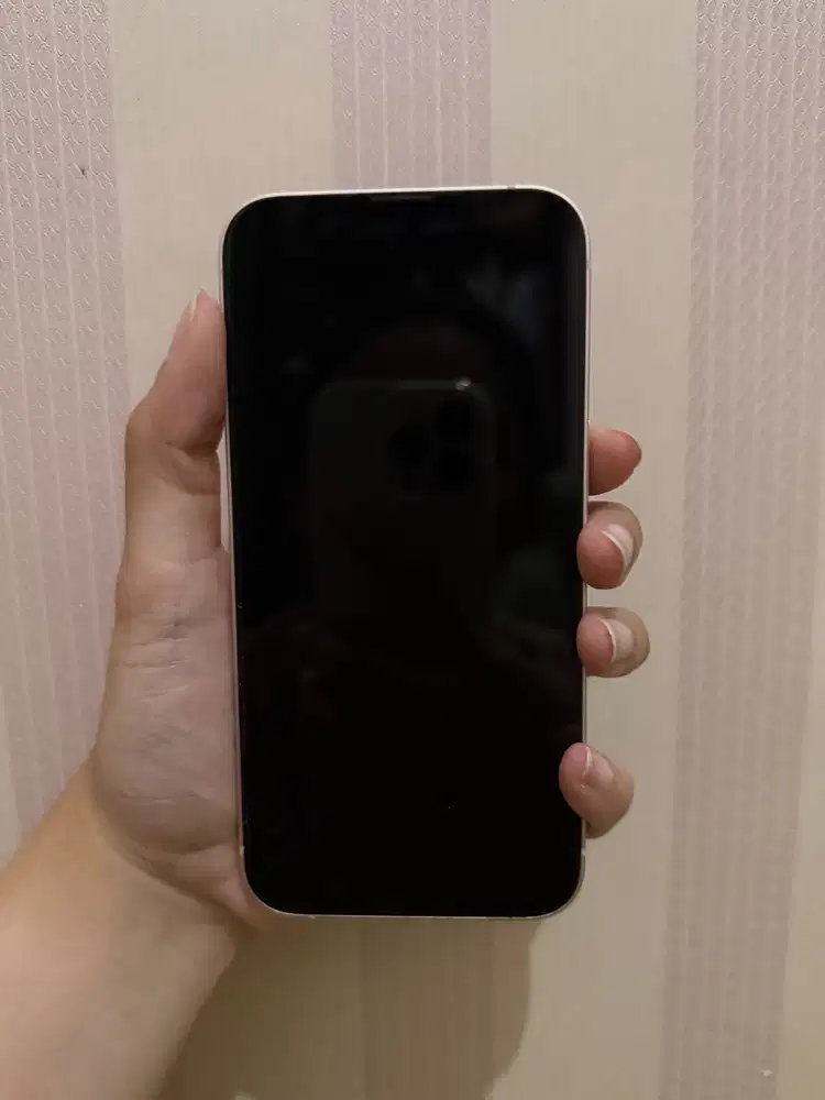 Iphone 13 128gb Inter