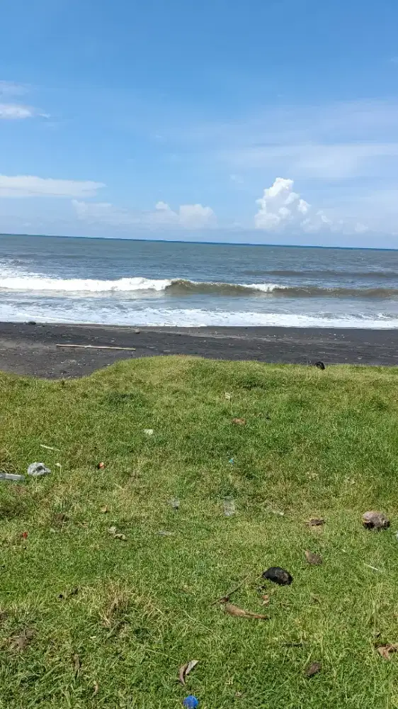 looking for a job opurtunity