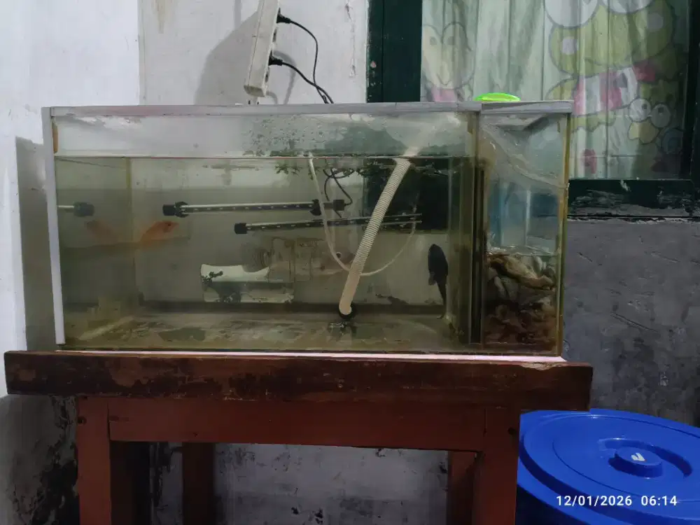 Aquarium ikan Besar
