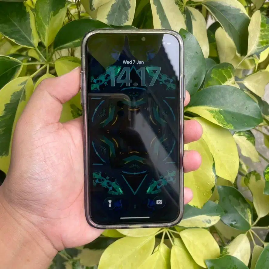 iPhone 11 IBOX 64GB PA/A