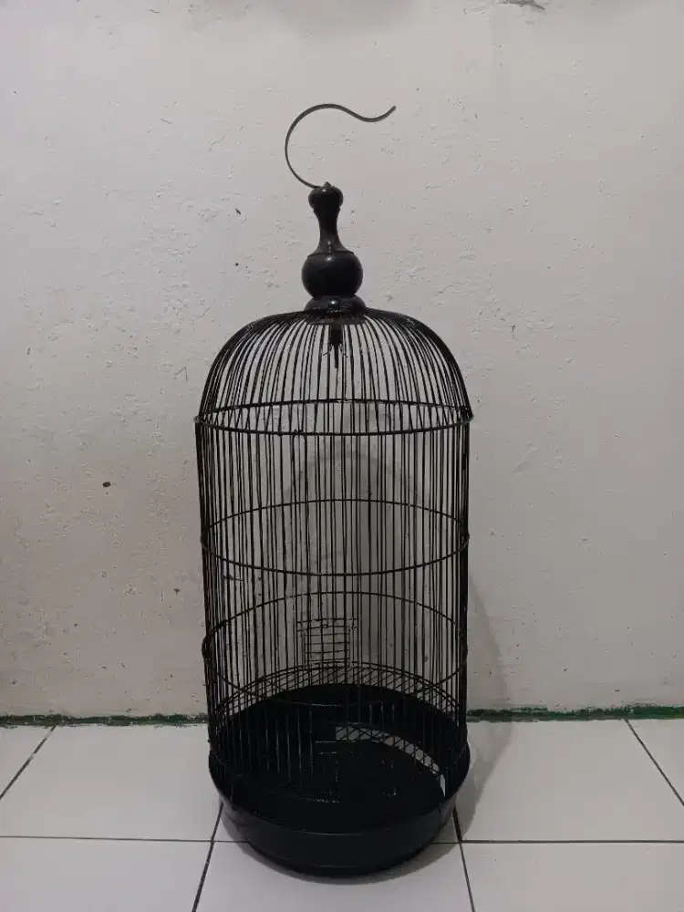 Kandang burung lovebird