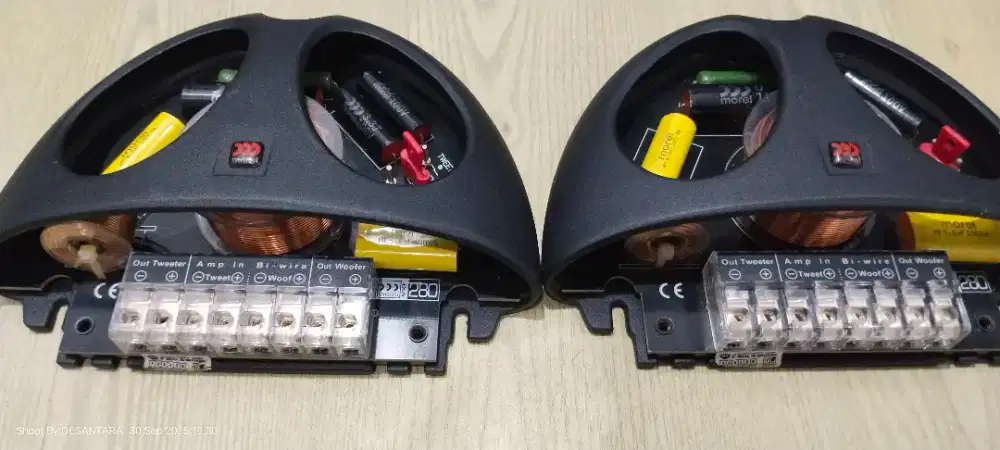 Crossover Morel Elate Carbon Pro