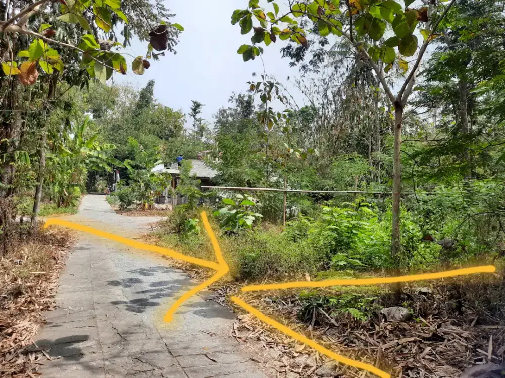 Pekarangan 101 m2 di Brosot,Kulonprogo