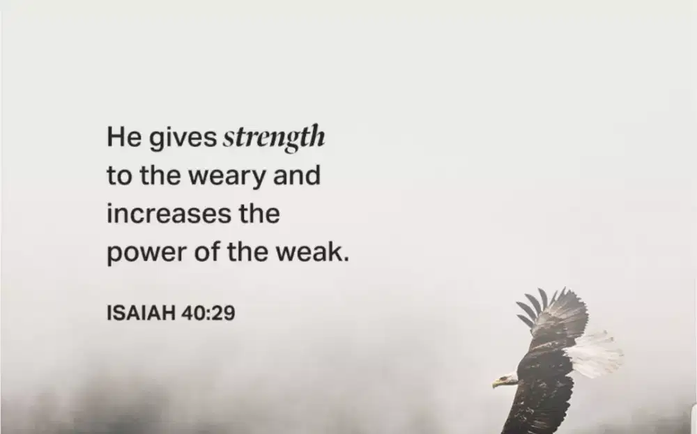 Butuh pekerjaan freelance