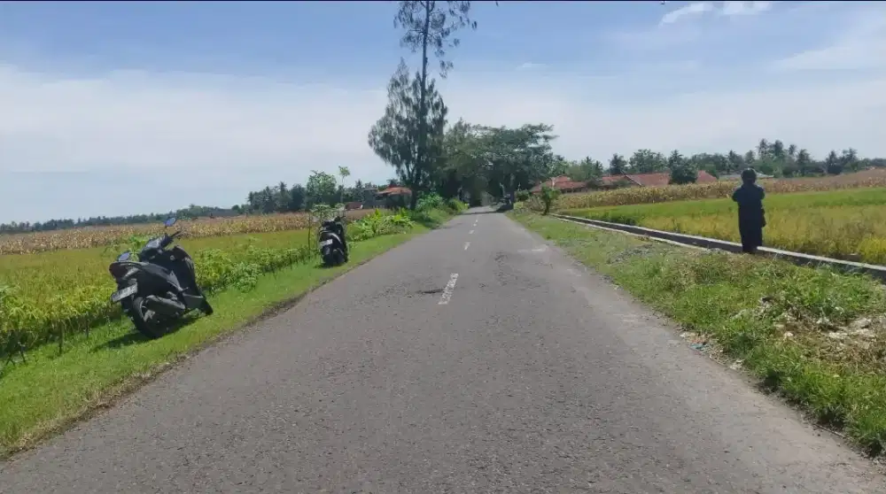 TANAH SAWAH AKSES JALAN ASPAL