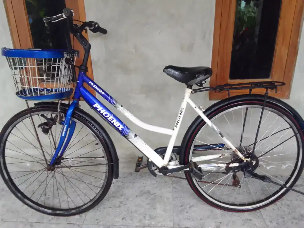 Sepeda keranjang 26