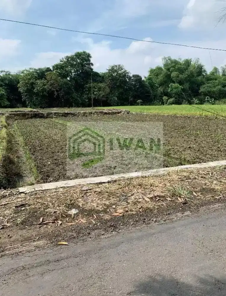 Tanah Murah & Strategis Dekat Jalan Raya Kabupaten