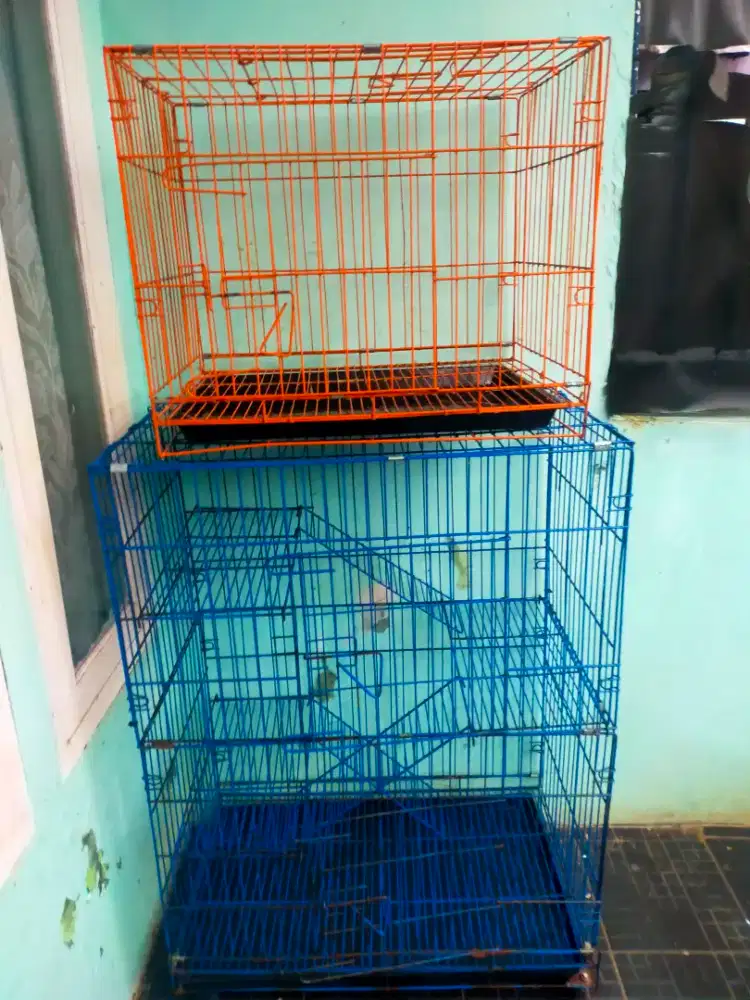 Kandang kucing.