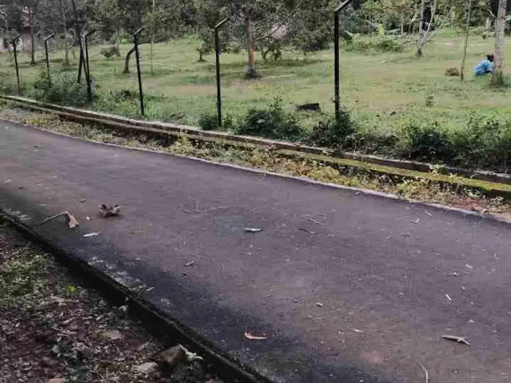 TANAH PEKARANGAN KEBUN DURIAN JATIPURO KARANGANYAR SOLO JAWA TENGAH
