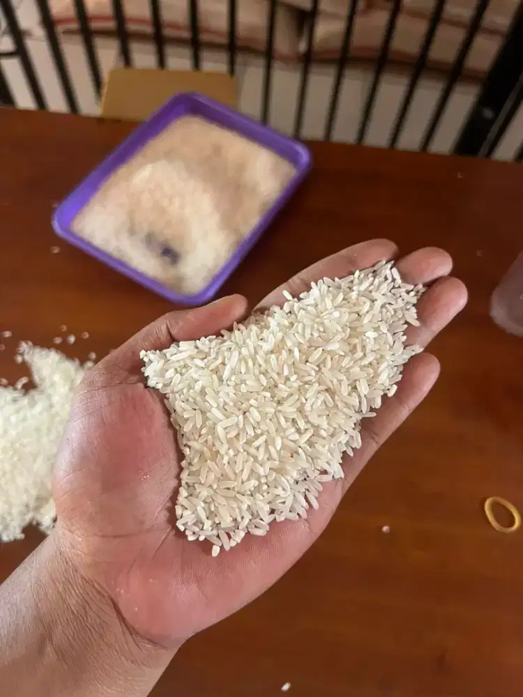 Beras IR pulen dijamin