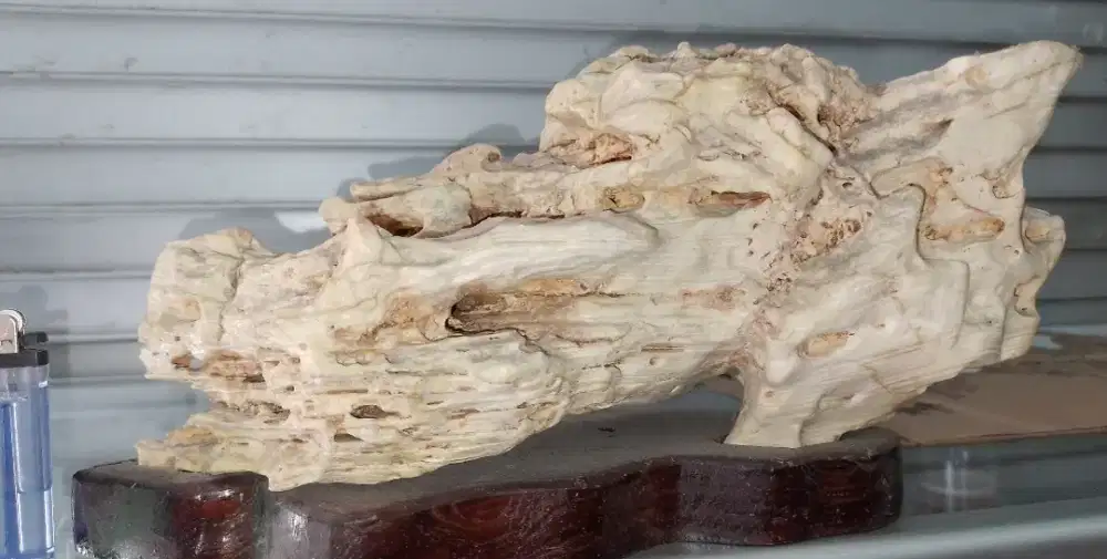 Koleksi suiseki alami