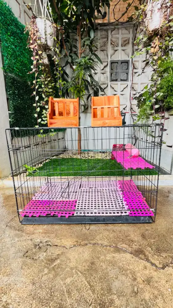 Kandang kelinci size XL