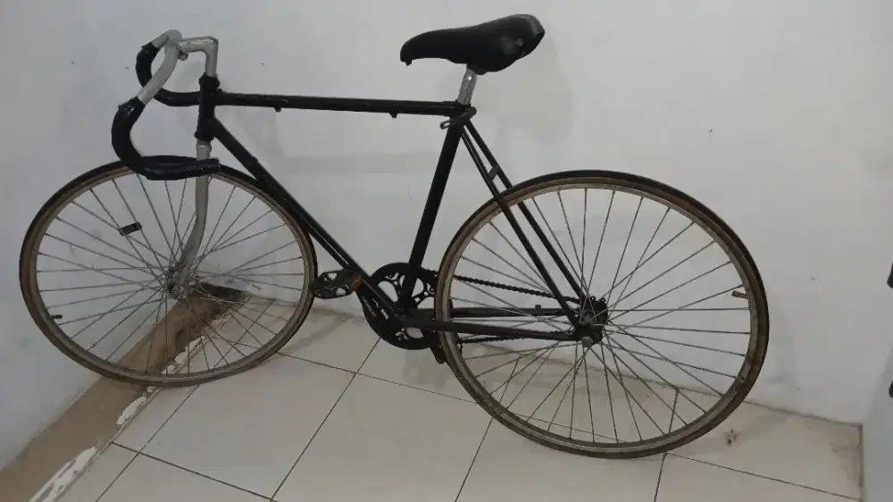 Jual Sepeda Fixie Masih Bagus Murah