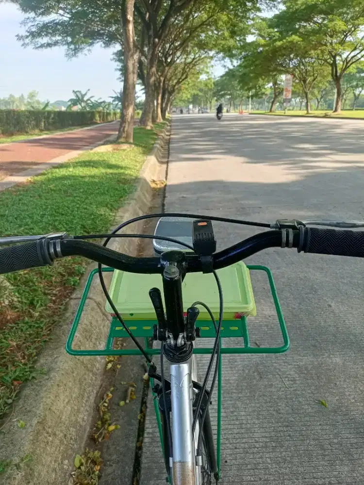 Sepeda klasik federal lady THN 1990