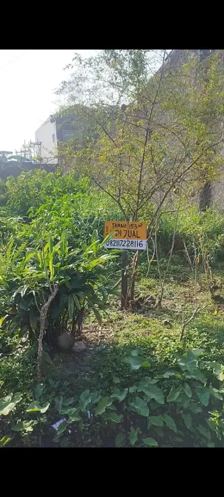 Tanah matang siap bangun 153m bojongsari