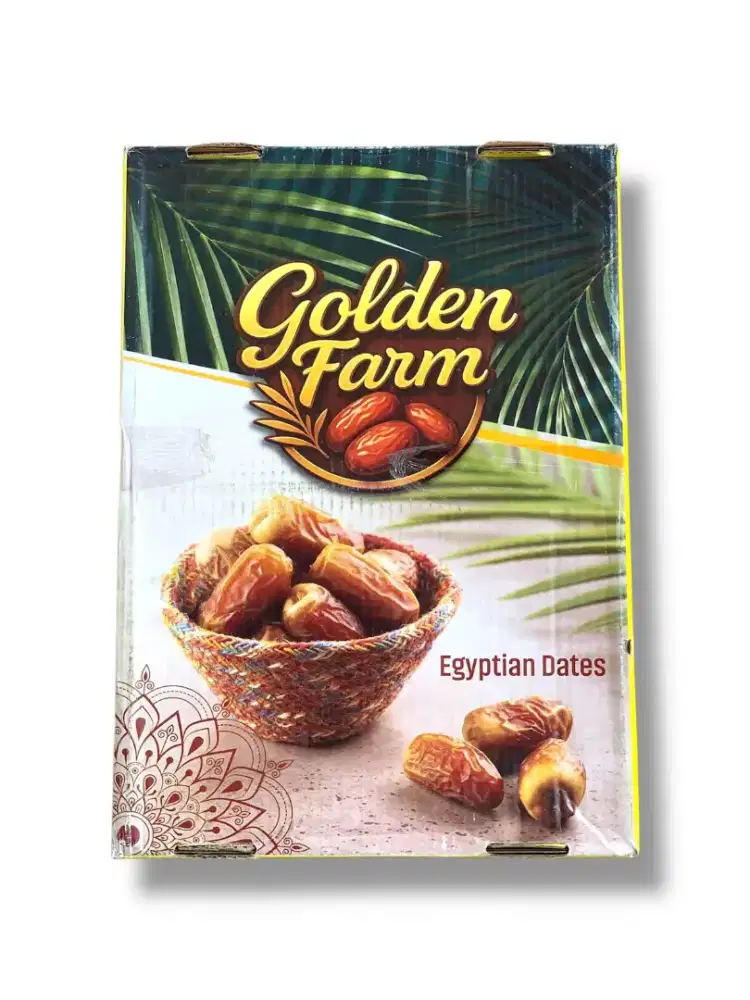 Grosir Kurma Mesir Al Saad Egyptian Dates 10kg Panen Baru