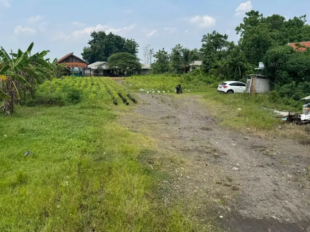 Dijual Cepat Tanah Cocok Untuk Usaha Lokasi Strategis Dekat Tol Cikedung Di Indramayu