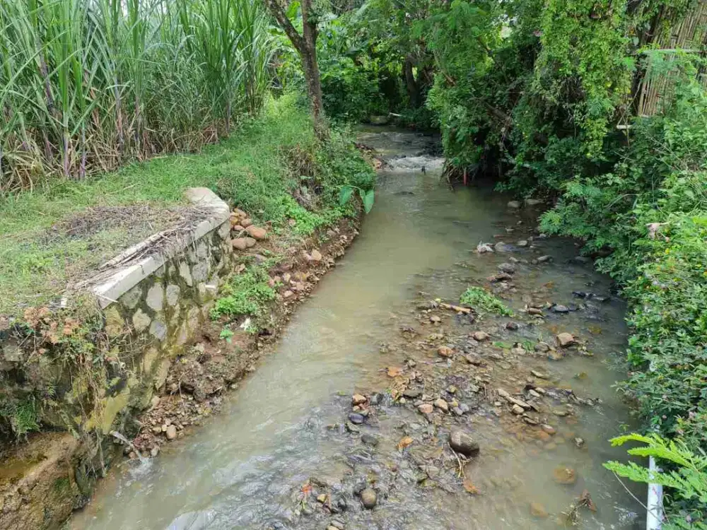 Tanah Super Murah dan Luas! Pemandangan Indah dan Udara Bersih di Bangsri Karangpandan, Hanya 750M Dari Jalan Solo Tawangmangu.