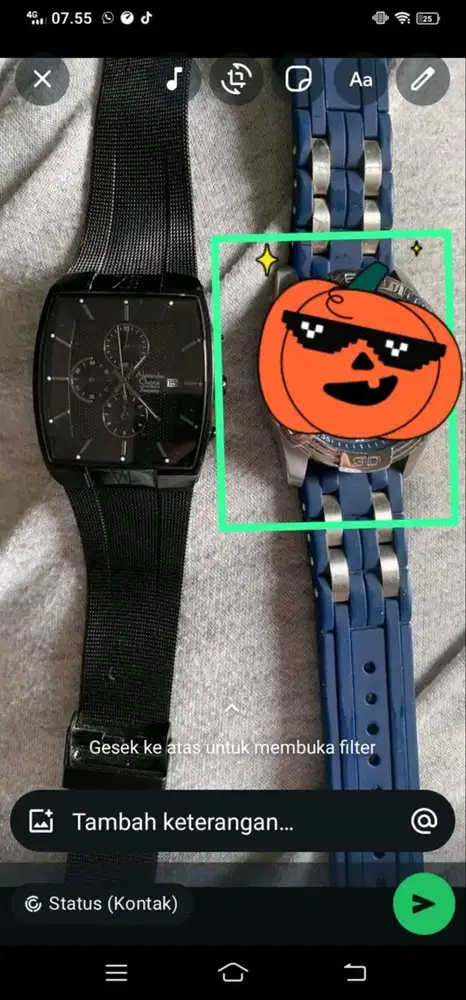 Alexandre Christie 6275mc