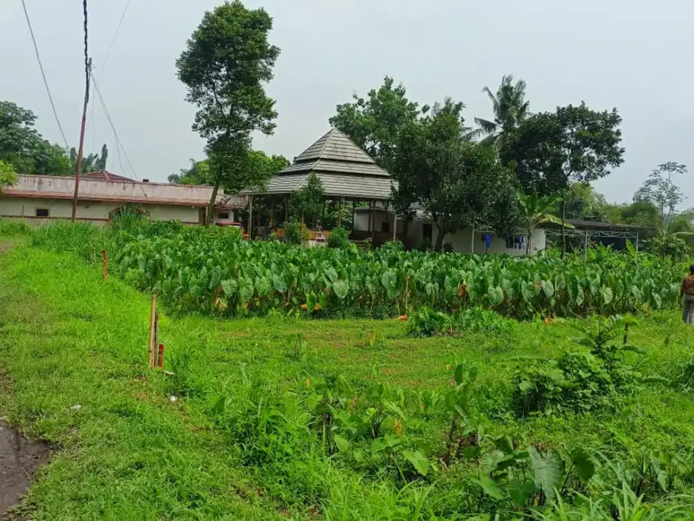 Kavling Premium Dekat IPB Bonus Kulkas & Mesin Cuci