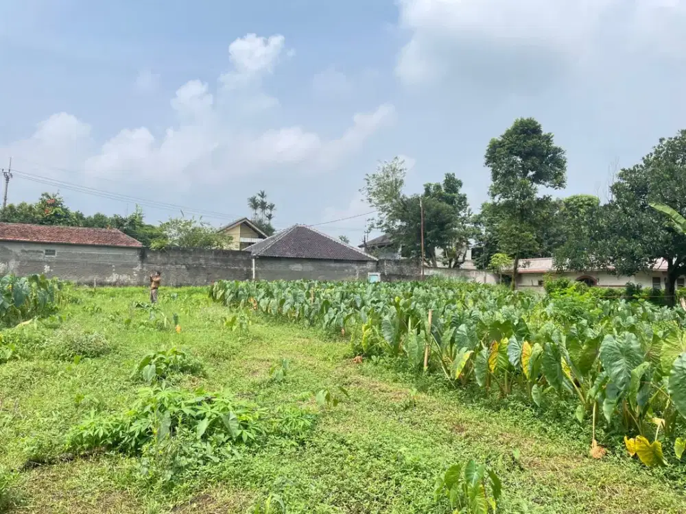 Kavling Premium Dekat IPB Bonus TV, Promo Tahun Baru