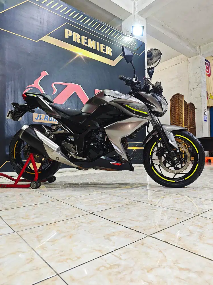 Ninja Z250cc naked 2cilinder mulus full stdr .Anugerah motor rungkut