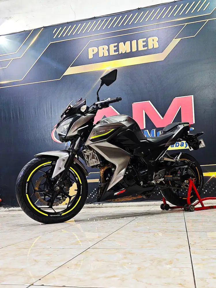 Ninja Z250cc naked 2cilinder mulus full stdr .Anugerah motor rungkut