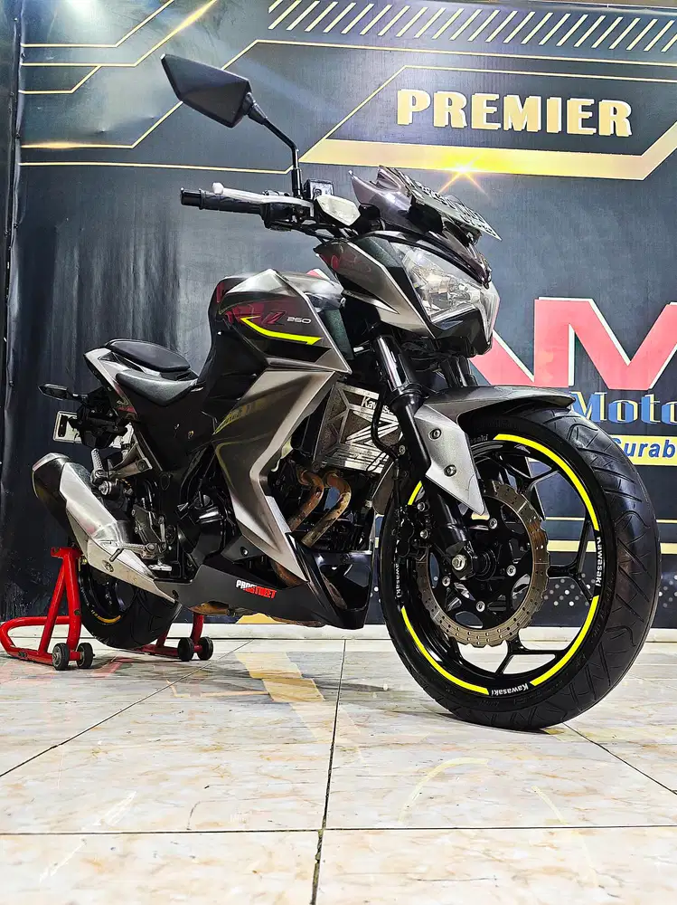 Ninja Z250cc naked 2cilinder mulus full stdr .Anugerah motor rungkut