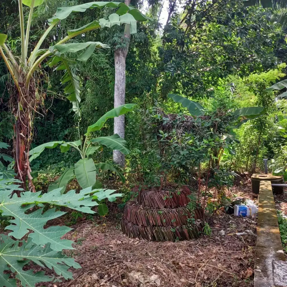 di jual 200jt bisa nego tapi gak banyak