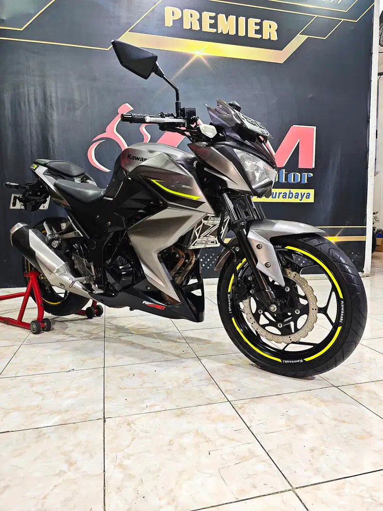 Ninja Z250cc naked 2cilinder mulus full stdr .Anugerah motor rungkut