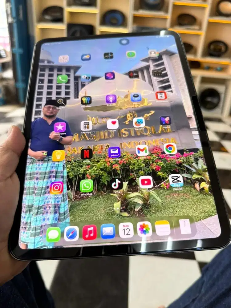 IPAD PRO M4 256 GB