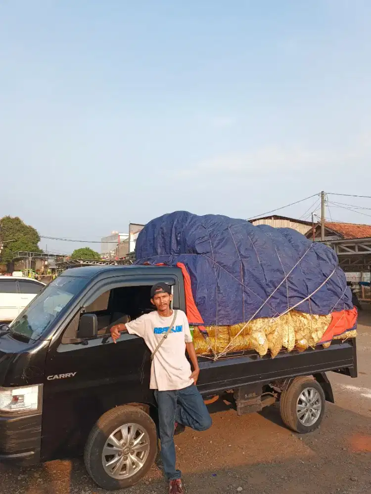 Jasa sopir harian lepas, mobil pribadi, mobil muatan, pick up/truk