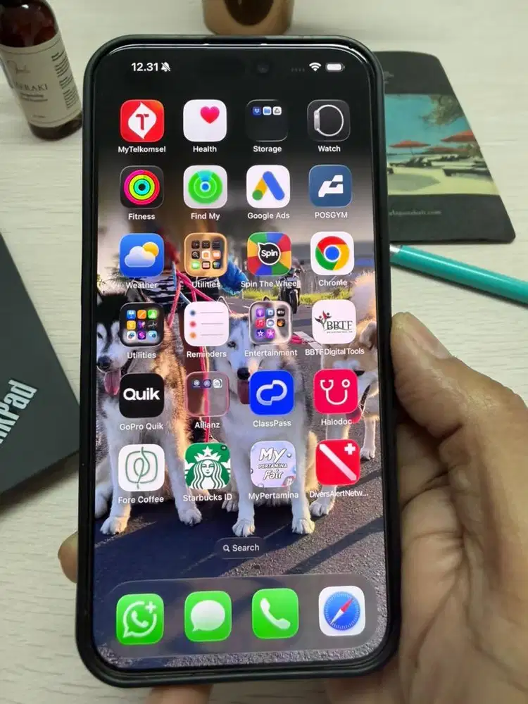 iPhone 15 Pro Max 256