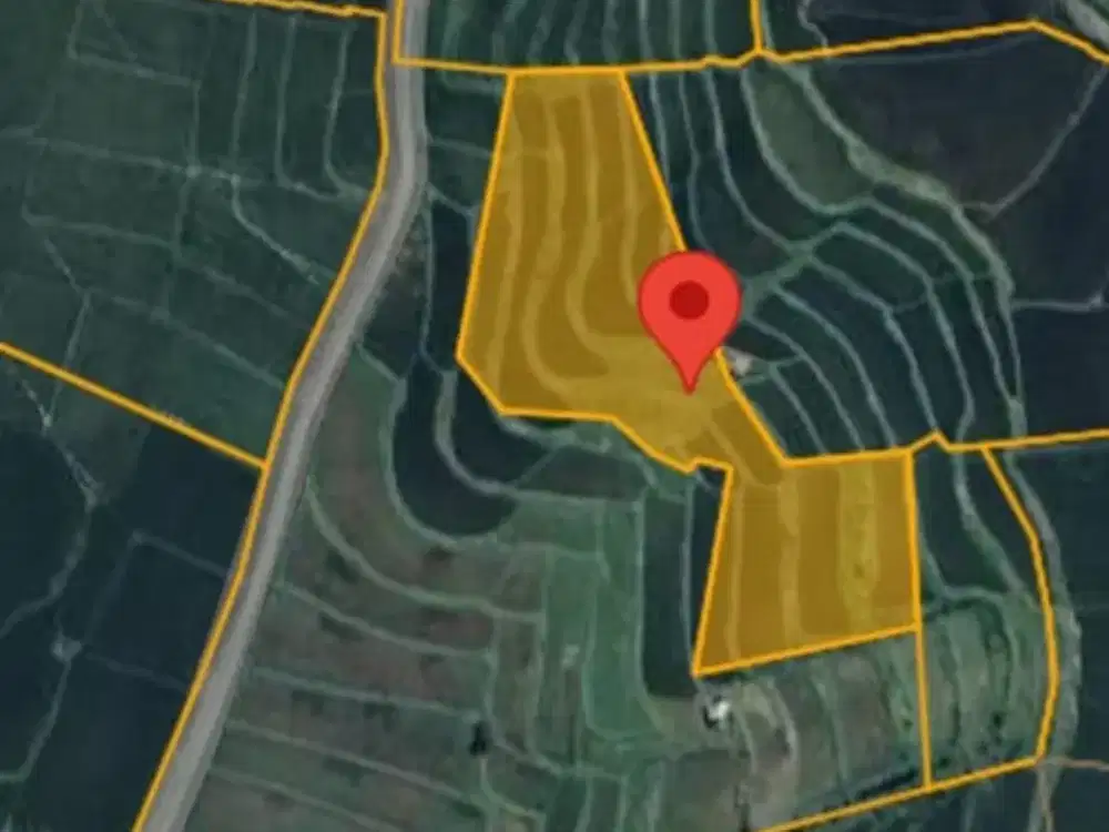 Tanah di Karangmulya Bojongmangu Luas 16.651 m² Rp 300 Rb / Meter