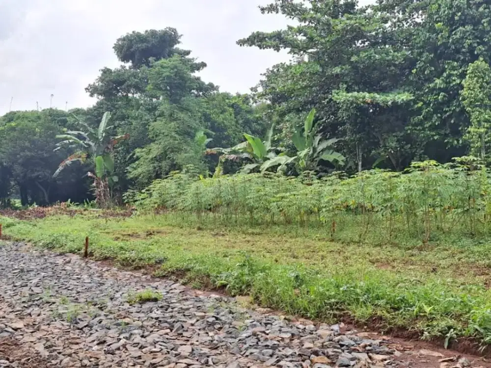 Tersedia Tanah Kavling SHM Murah,7 Menit RS Unimedika Setu
