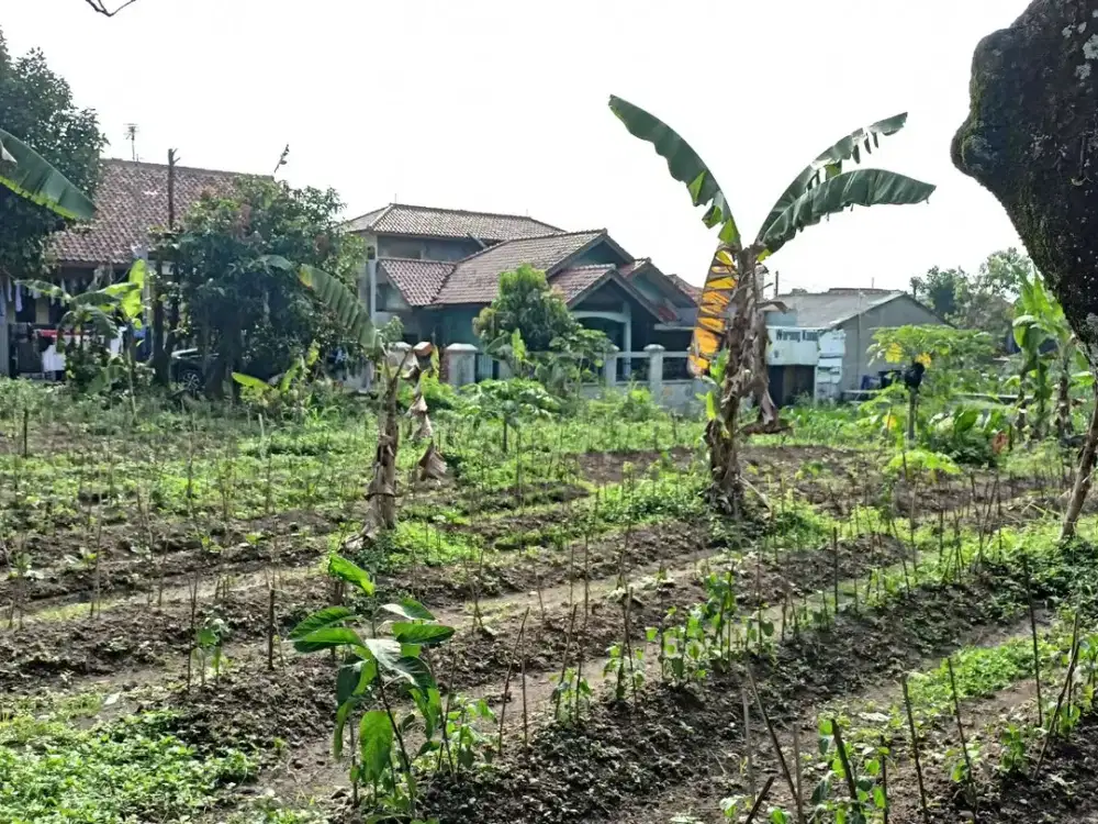 Free SHM Kavling 5 Menit Terminal Bubulak Bonus Kulkas