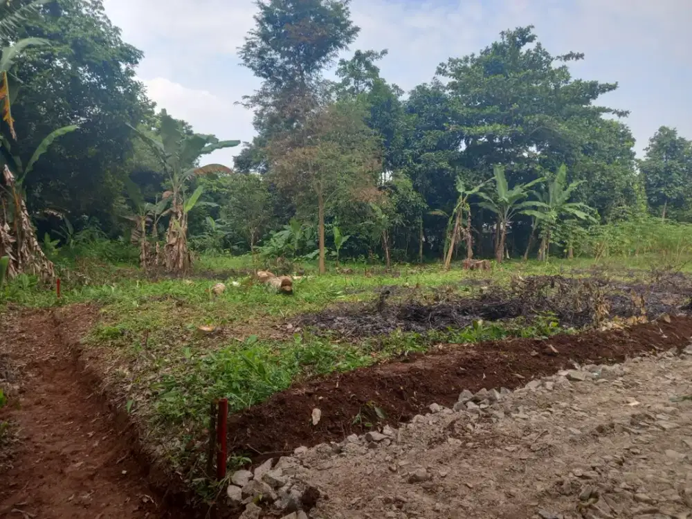 Tanah Kalving Setu Dekat Tol Burangkeng,Terima Lahan Matang