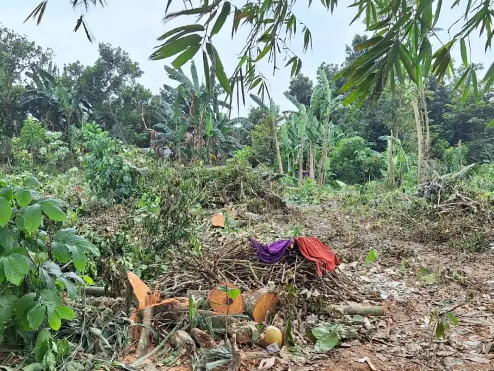 Kavling Strategis Cisauk,Hanya 1Jtan,Dekat Kawasan BSD