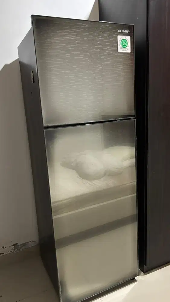 Kulkas sharp 2 pintu