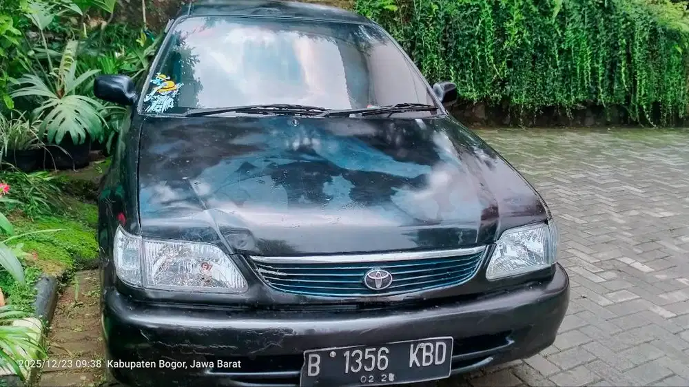 Jual santai buat yang hobi motuba