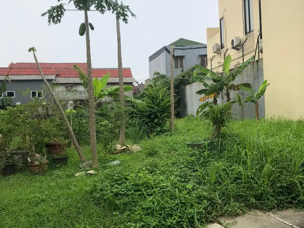 Tanah Kavling Cluster Taman Menteng Lippo Cikarang Luas 317 m Rp 1,5 M