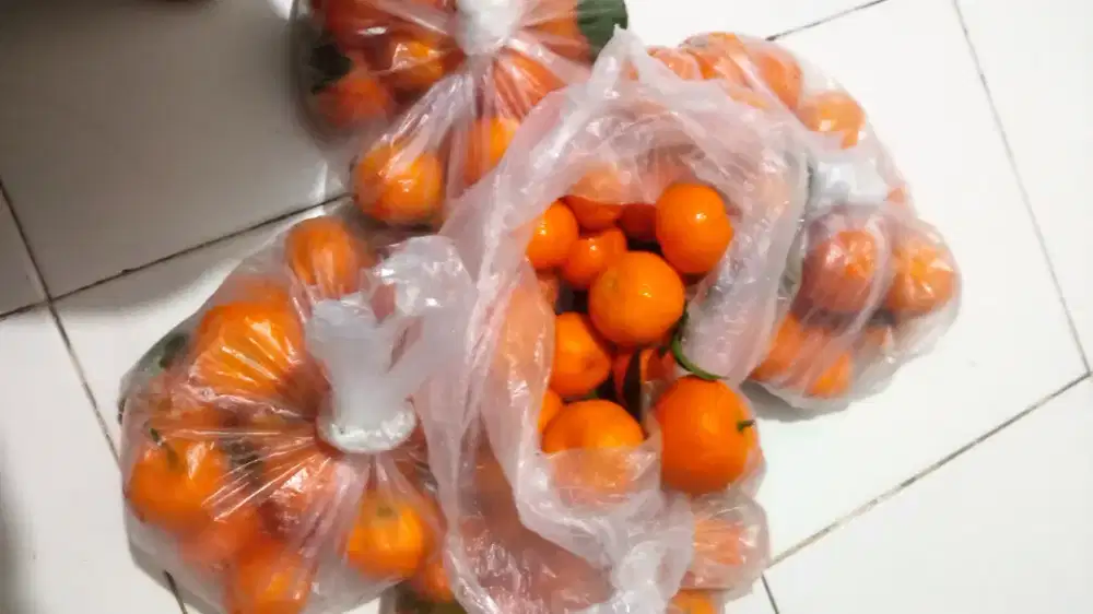 Jeruk santang dongfeng