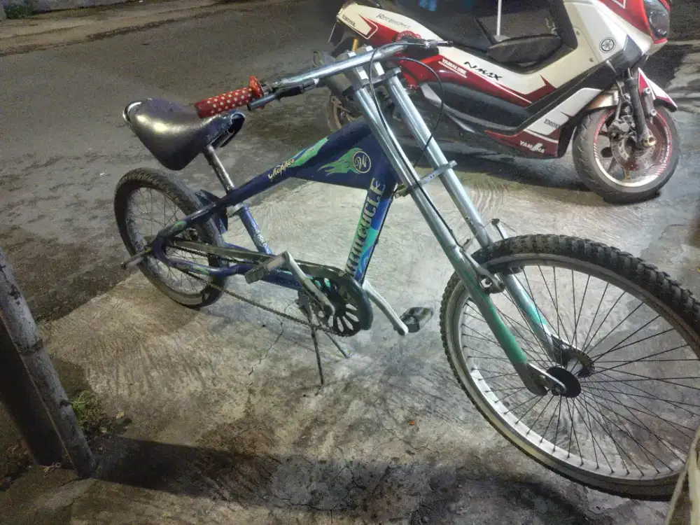 Sepeda lowrider wimcycle 20/24