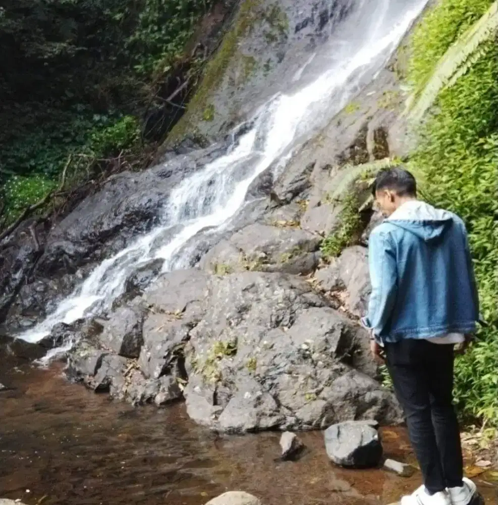 CARI KERJA PENJAGA VILA ATAU KEBUN